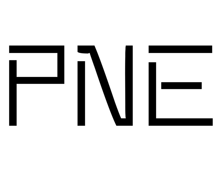 PNE商标图样