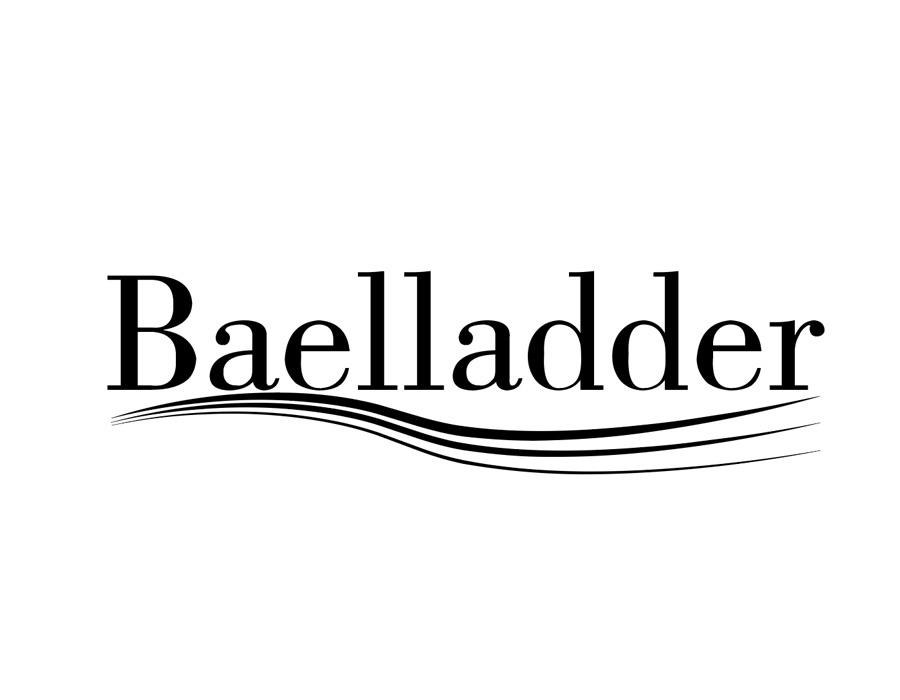 BAELLADDER,第25类商标转让