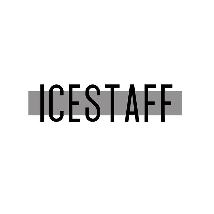 ICESTAFF，第25类商标转让