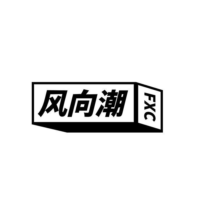风向潮商标图样
