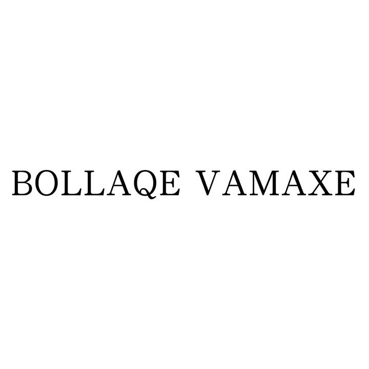 BOLLAQEVAMAXE,第25类商标转让