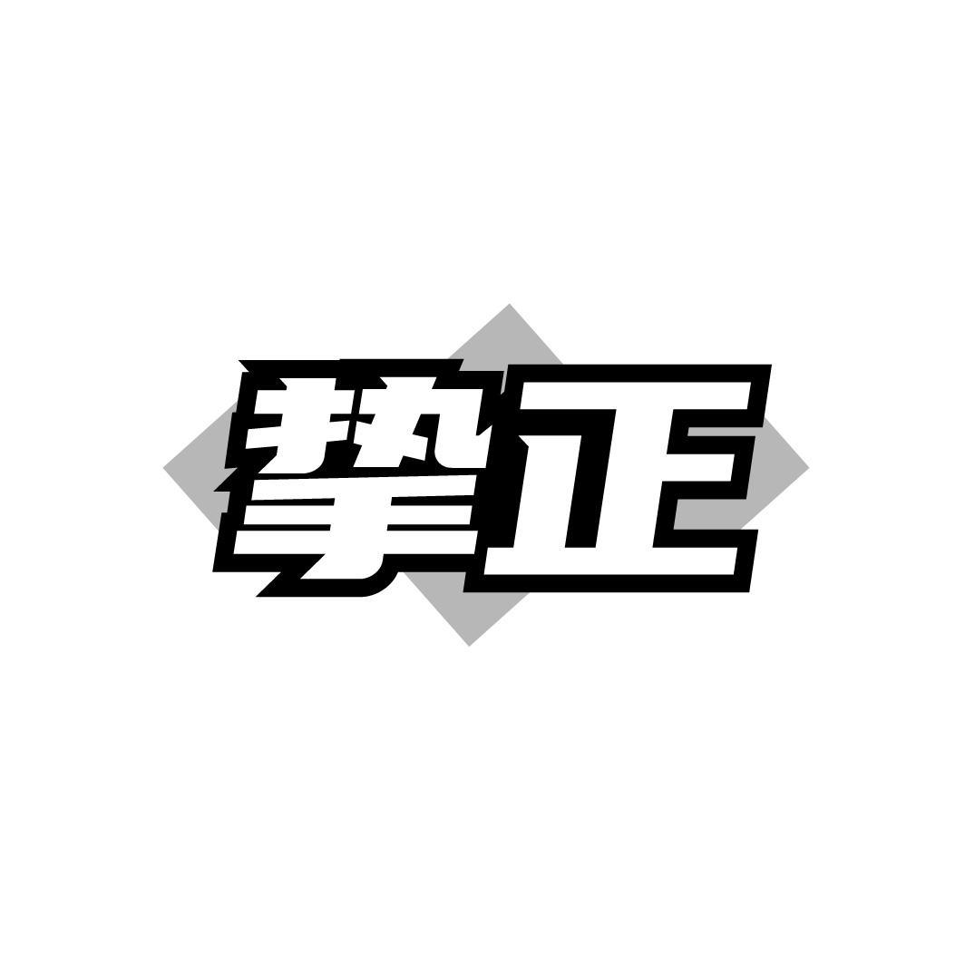 挚正,第11类商标转让