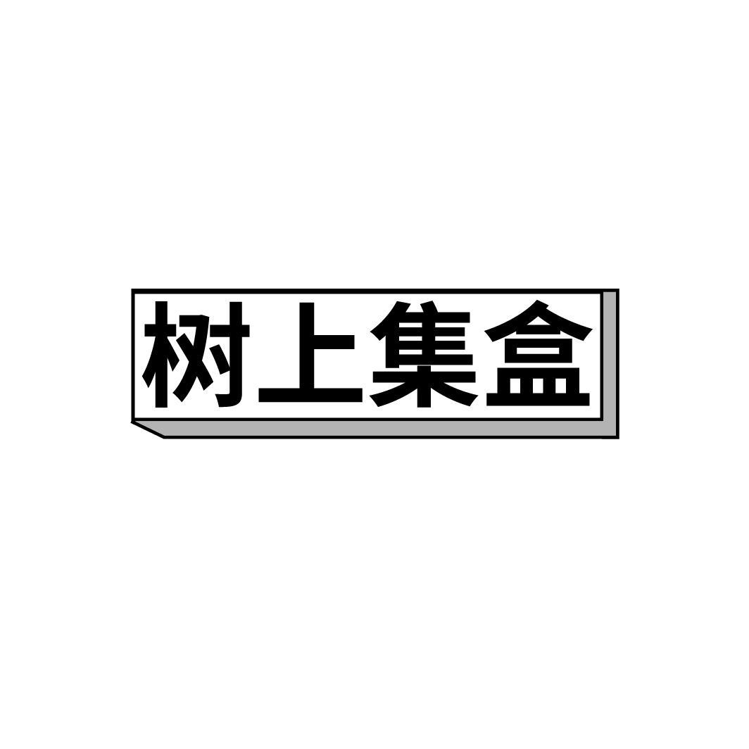 树上集盒，第31类商标转让
