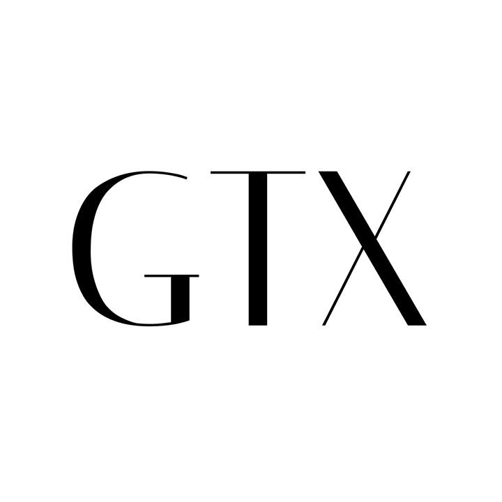 GTX商标图样
