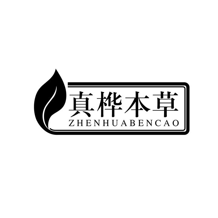 真桦本草商标图样