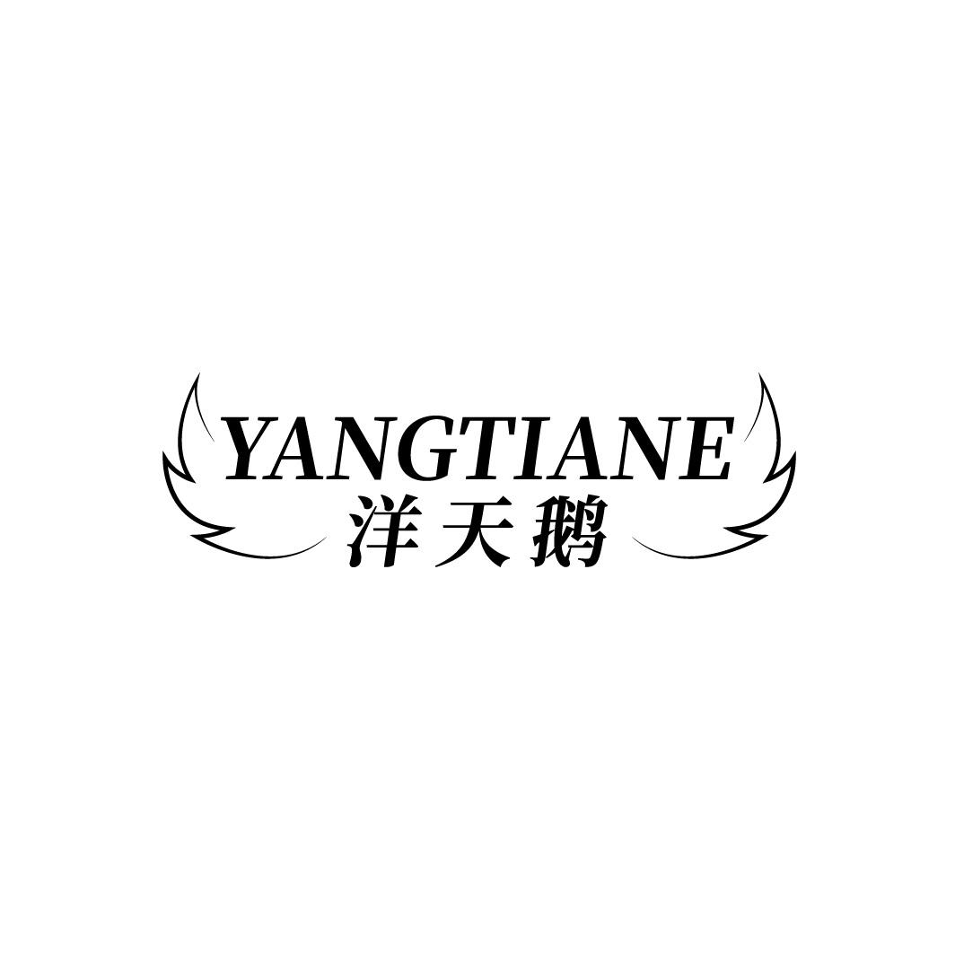 洋天鹅,第25类商标转让